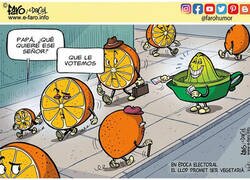 Enlace a El candidato favorito