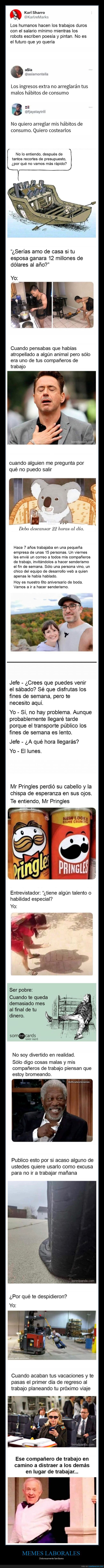 memes,laborales,trabajo
