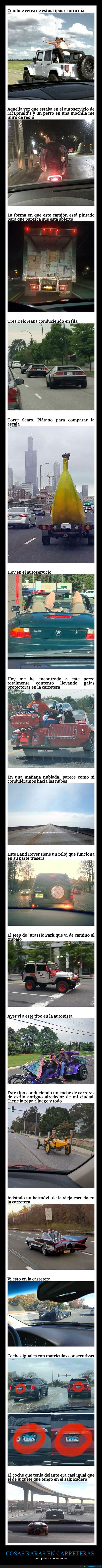 carreteras,conduciendo,cosas raras