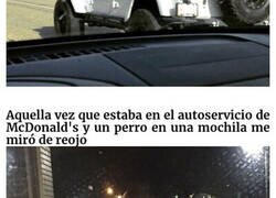 Enlace a Cosas muy raras que la gente vio en la carretera