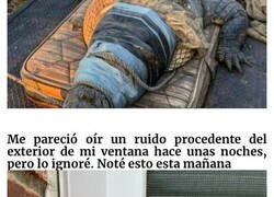 Enlace a Imágenes «extrañamente aterradoras» que te darán escalofríos