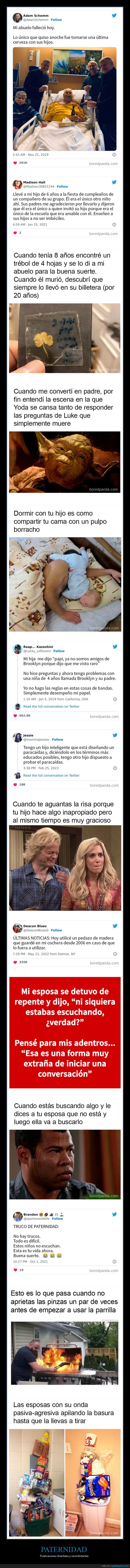 paternidad,padres,hijos