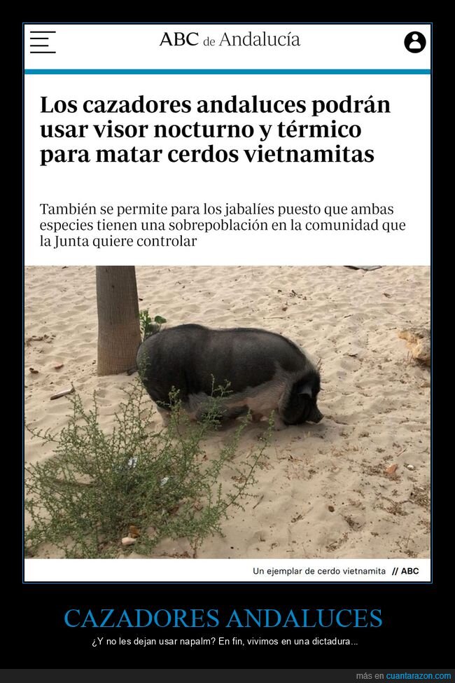 cazadores,visor nocturno,visor térmico,cazar,cerdos vietnamitas