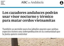 Enlace a A la caza del cerdo vietnamita