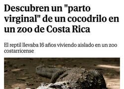 Enlace a Obra y gracia del Espíritu Santo