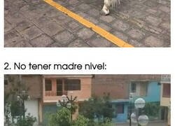 Enlace a Imágenes absurdas que solo tienen una explicación: Latinoamérica