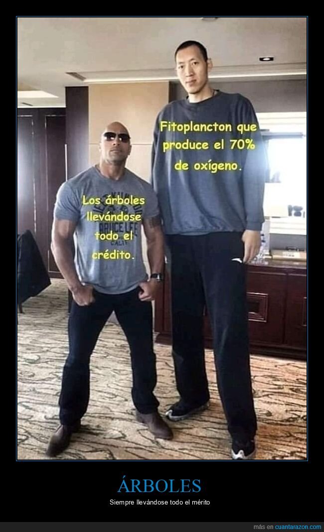árboles,fitoplancton,oxígeno