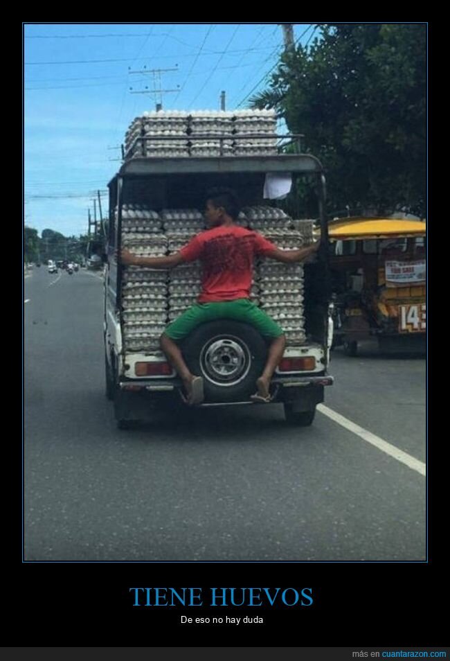 camioneta,huevos,sujetando,wtf