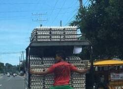 Enlace a Protegiendo los huevos a toda costa