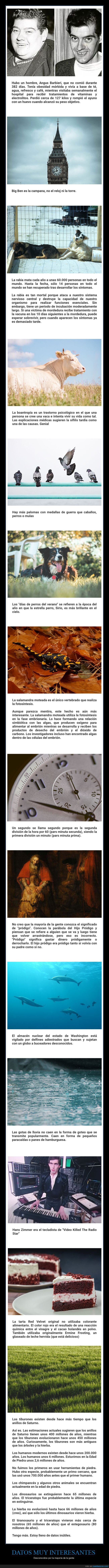 datos interesantes,curiosidades