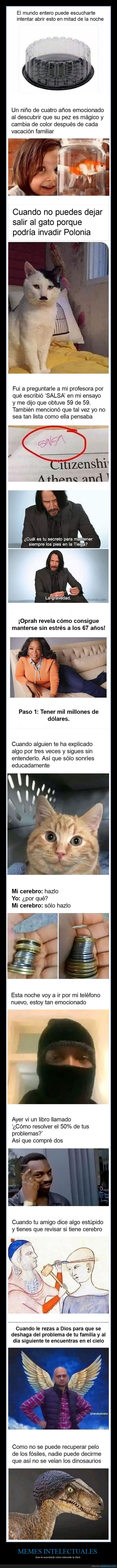 memes intelectuales