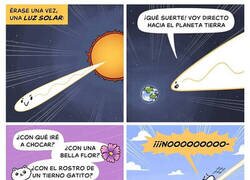 Enlace a El destino de la luz solar