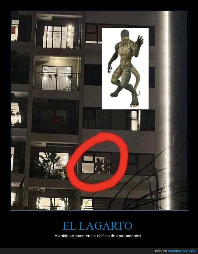 lagarto,pareja,sombras,ventana