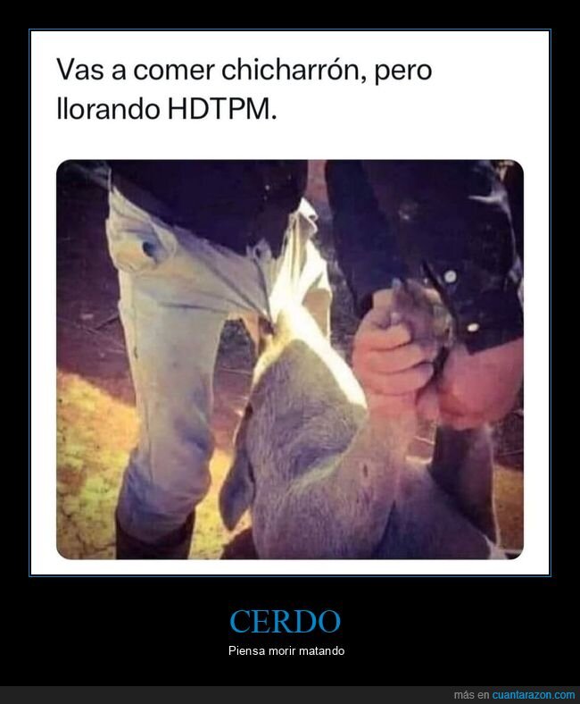 cerdo,mordisco