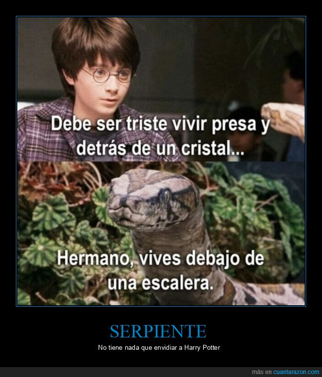 serpiente,vivir,escalera,harry potter