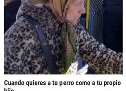 Enlace a Personas y situaciones singulares que fueron vistas en el transporte público de Lituania