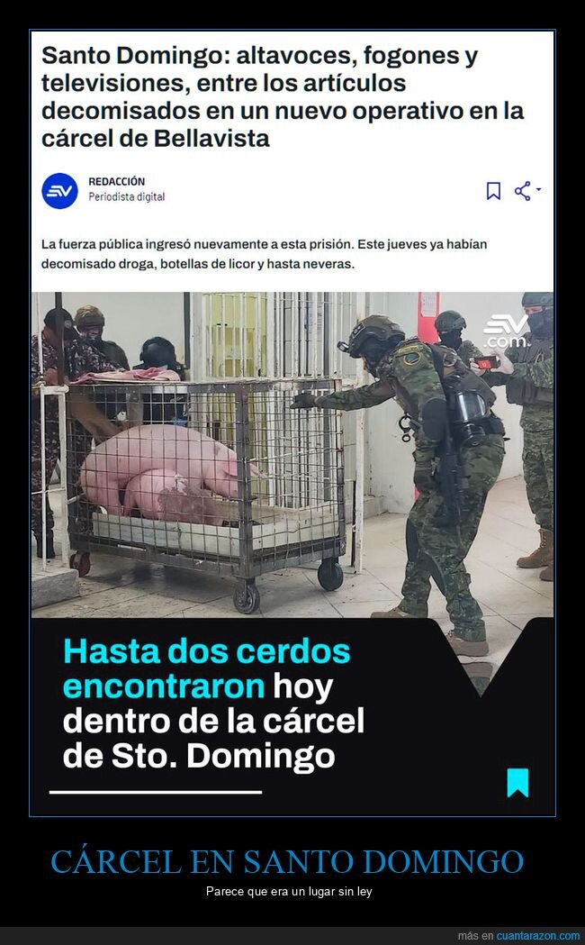 santo domingo,cárcel,cerdos