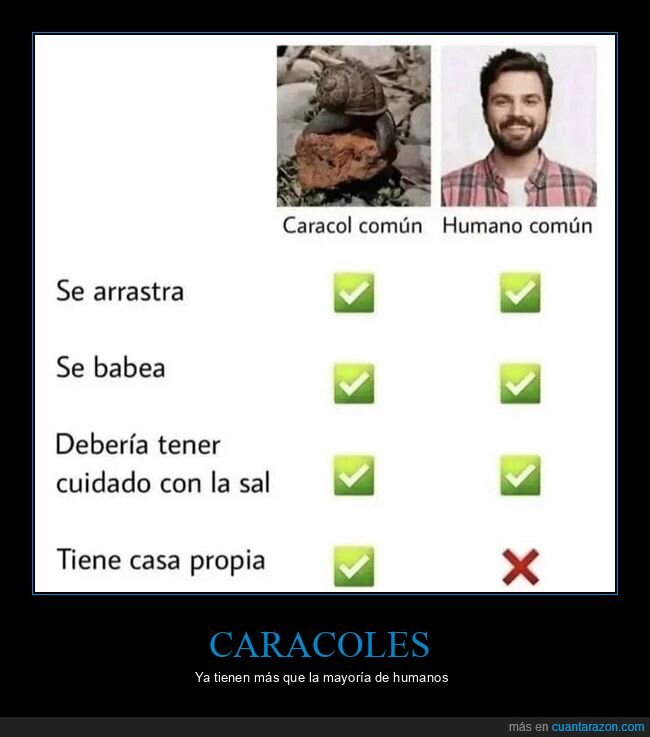 caracol,casa,comparativa,humano