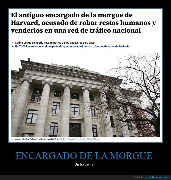 harvard,morgue,restos humanos,robo,vender