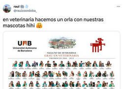 Enlace a Orla de veterinaria