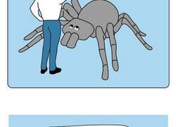 Enlace a Cómics descarados sobre temas de actualidad