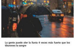 Enlace a Datos aparentemente inútiles, pero extraños e interesantes