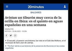 Enlace a Parece que los tiburones le están cogiendo el gusto a España...