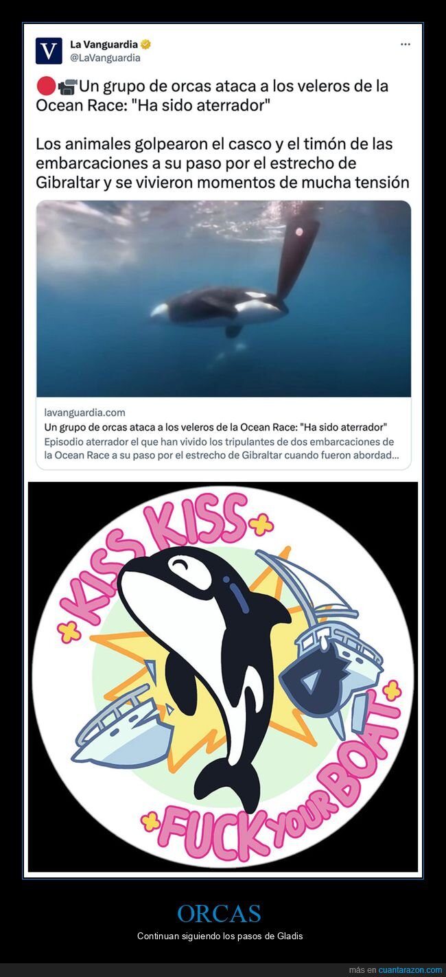 ocean race,orcas,veleros