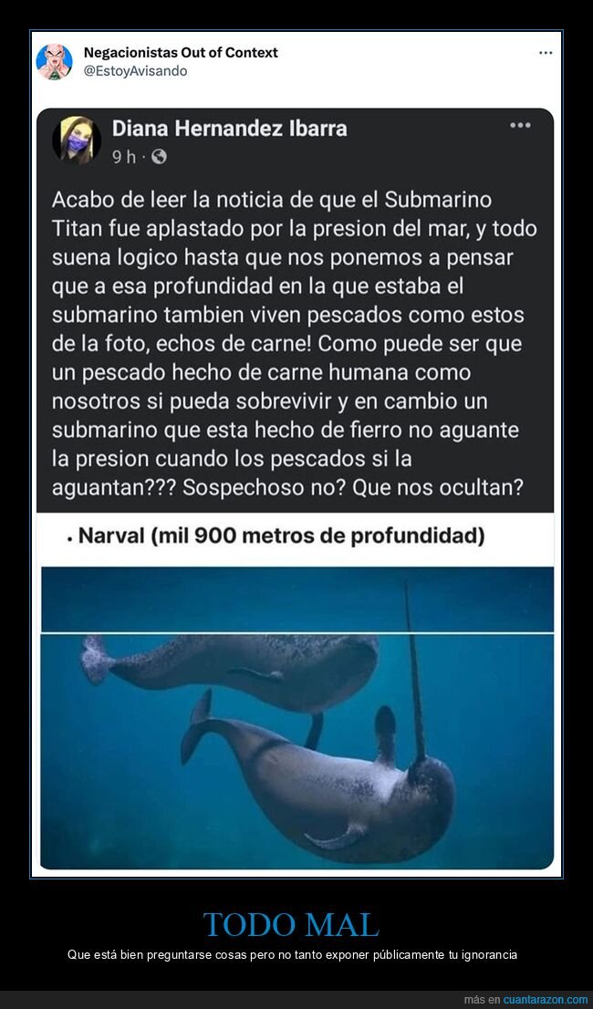 submarino,titanic,presión,narvales,negacionistas