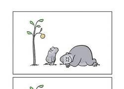 Enlace a Padre resolutivo