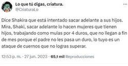 Enlace a Las dificultades de Shakira