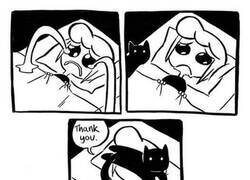 Enlace a Consuelo gatuno