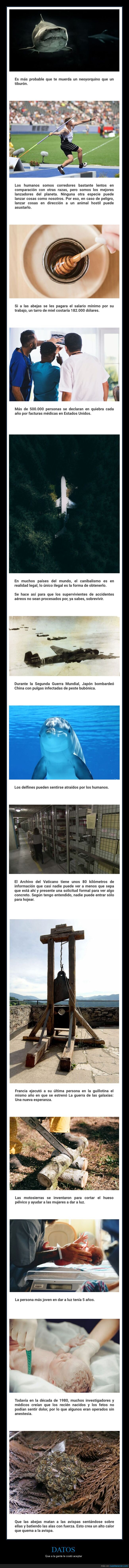 datos interesantes,curiosidades,aceptar