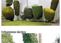 Enlace a Jardines únicos, pero no en el buen sentido