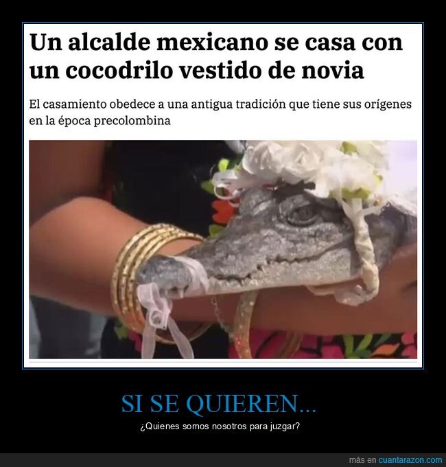 alcalde,casarse,cocodrilo,wtf