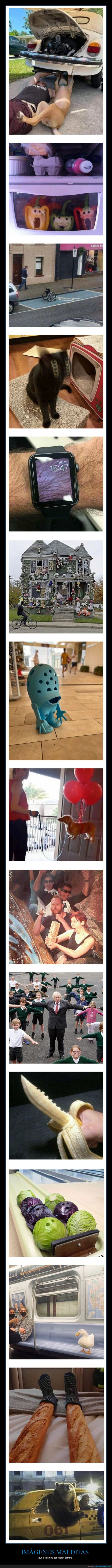 imágenes malditas,wtf