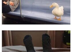 Enlace a Imágenes malditas que te dejarán con una sensación extraña