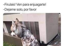 Enlace a El baño le ha afectado