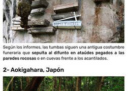 Enlace a Lugares con historias aterradoras que ponen los pelos de punta