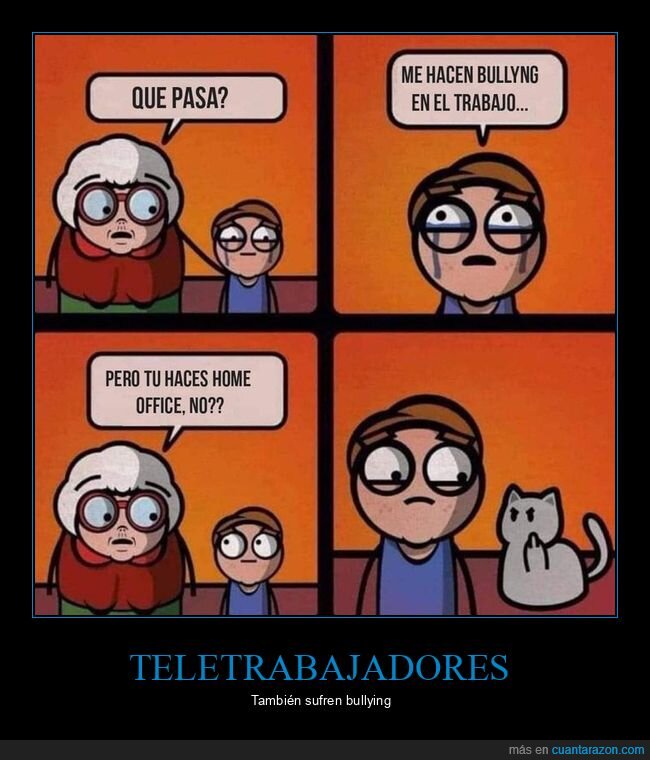 trabajo,bullying,gato