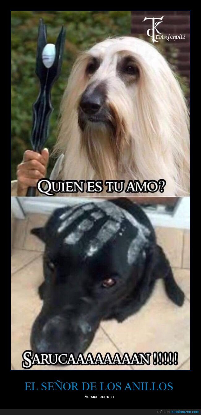 perros,el señor de los anillos