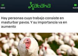 Enlace a Un oficio en alza