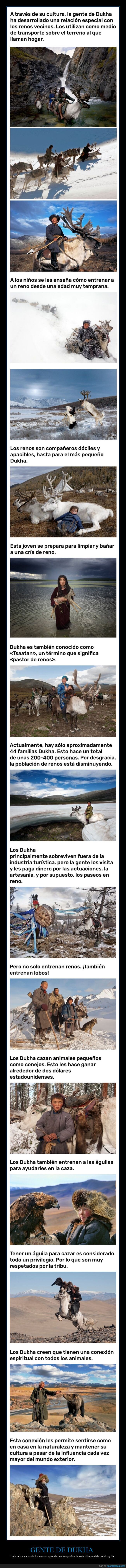 tribu,mongolia,dukha