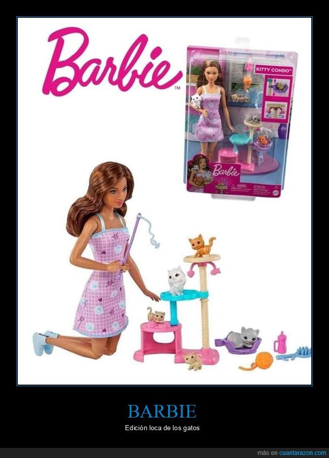 barbie,gatos