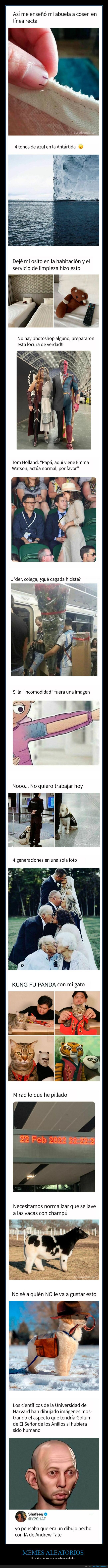 memes,random