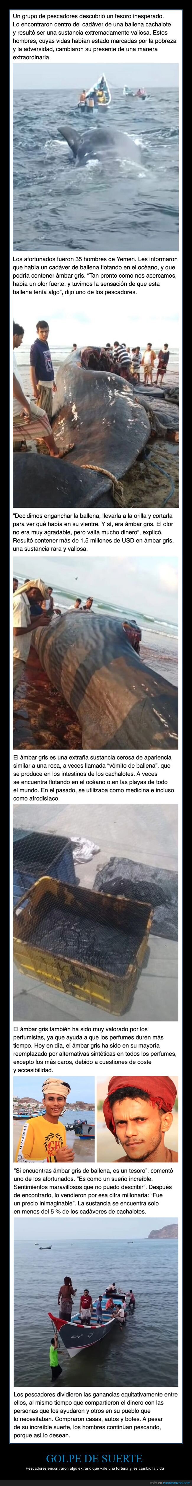 pescadores,hallazgo,ámbar gris