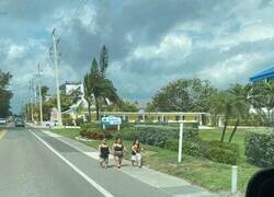 Enlace a Solo tres amigas paseando