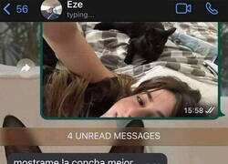 Enlace a Harto