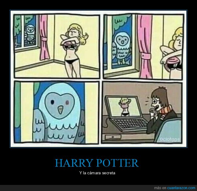 b&uacute;ho,c&aacute;mara secreta,harry potter