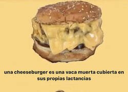 Enlace a Técnicamente es así...